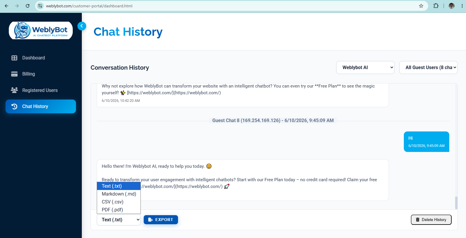 Chat History